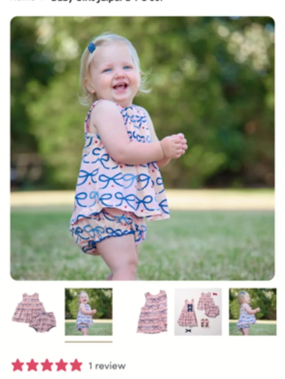Pink Chicken Baby Girls Jaipur 2 PC Set - 18-24 Mo